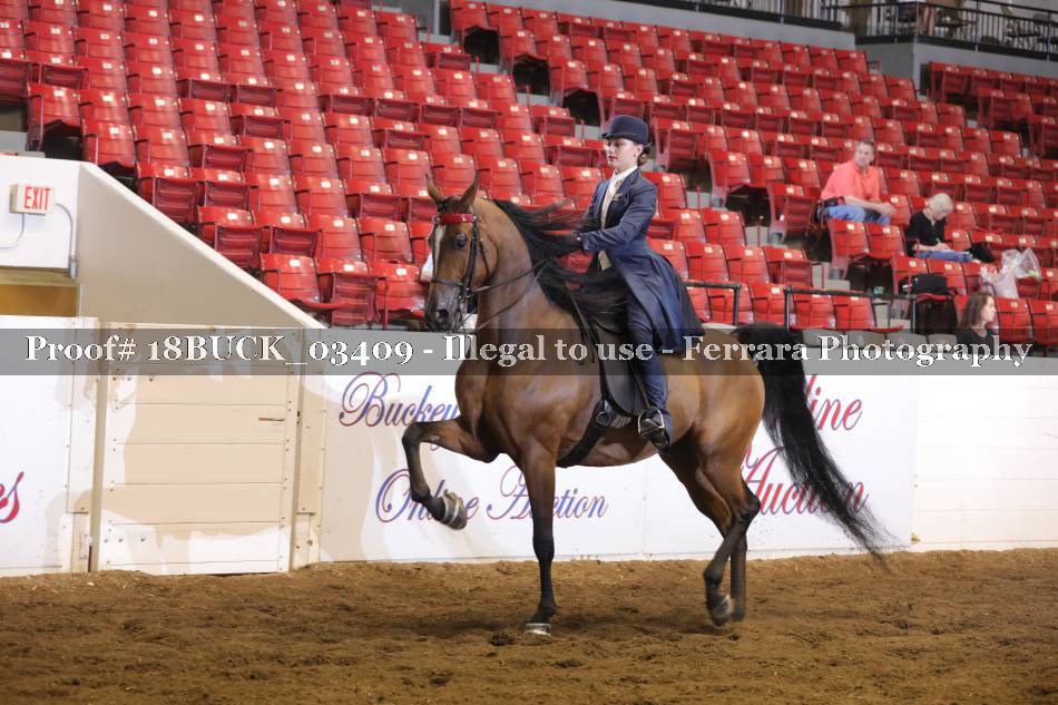 Proof 18BUCK_03409