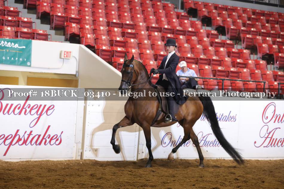 Proof 18BUCK_03410