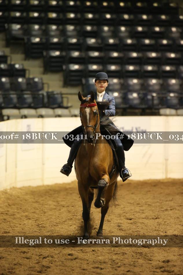 Proof 18BUCK_03411