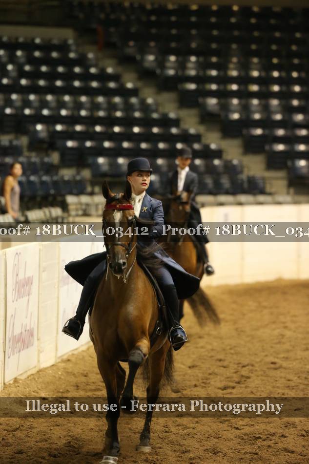 Proof 18BUCK_03412