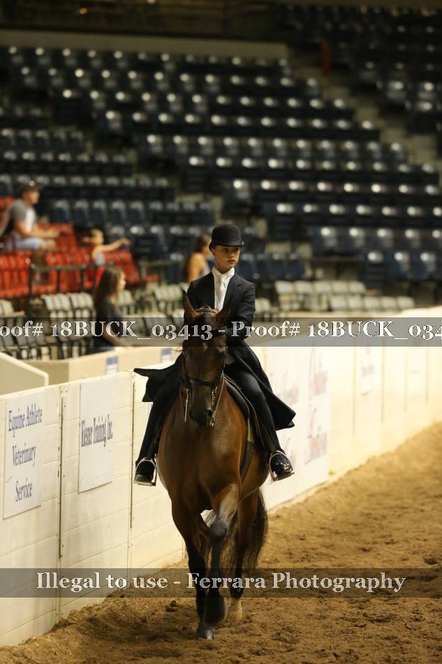 Proof 18BUCK_03413