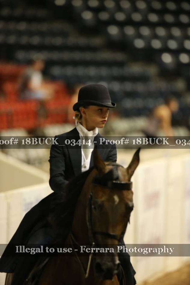 Proof 18BUCK_03414