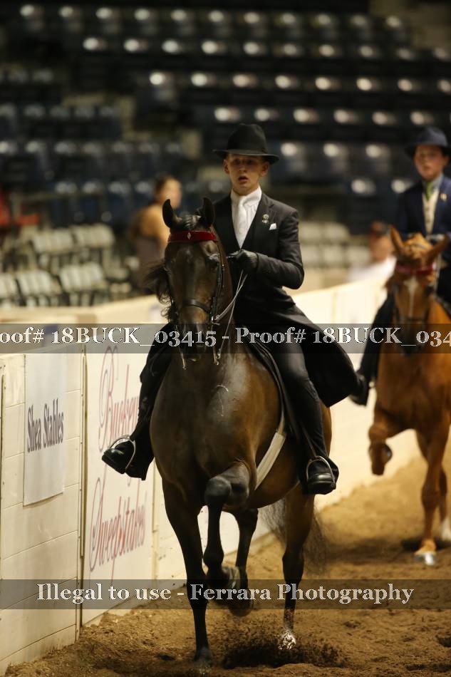 Proof 18BUCK_03415