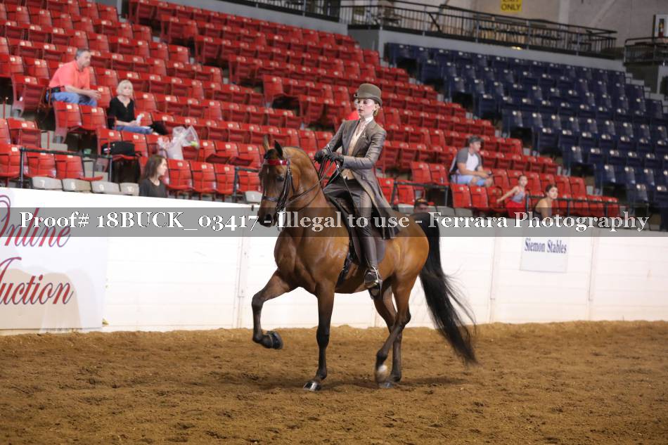 Proof 18BUCK_03417