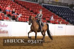 18BUCK_03417 proof
