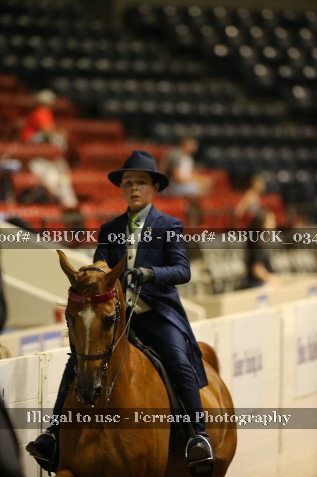 Proof 18BUCK_03418