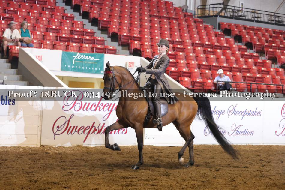 Proof 18BUCK_03419