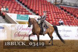 18BUCK_03419 proof