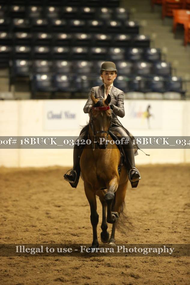 Proof 18BUCK_03420