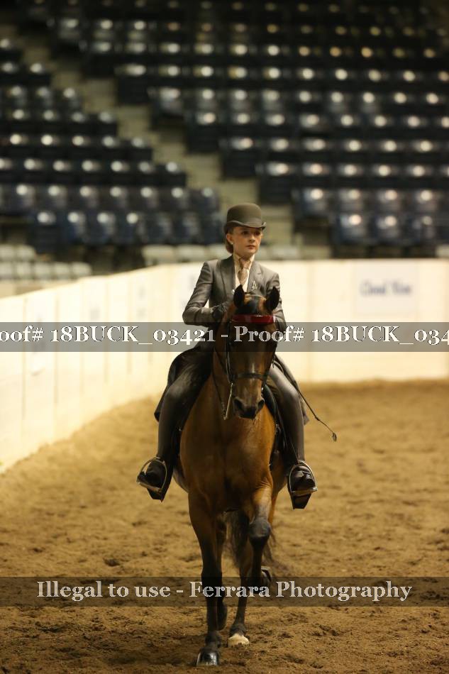 Proof 18BUCK_03421