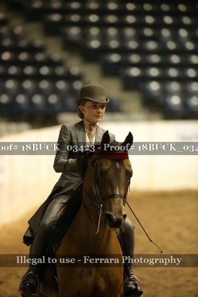 Proof 18BUCK_03423