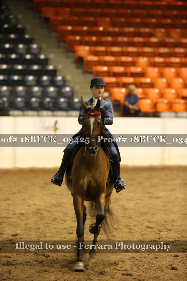 Proof 18BUCK_03425