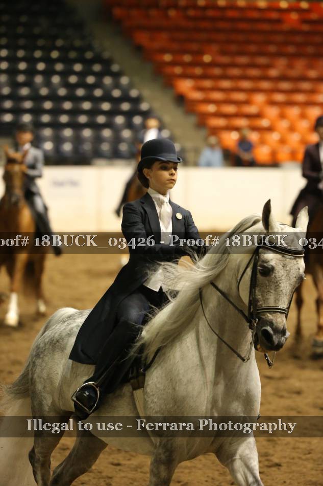 Proof 18BUCK_03426