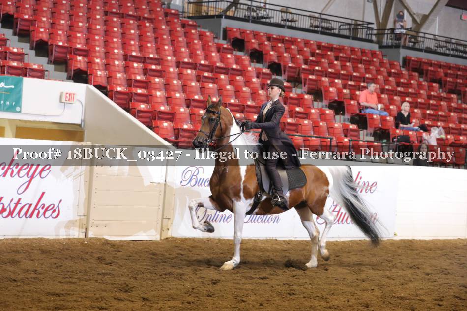 Proof 18BUCK_03427
