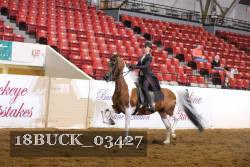 18BUCK_03427 proof