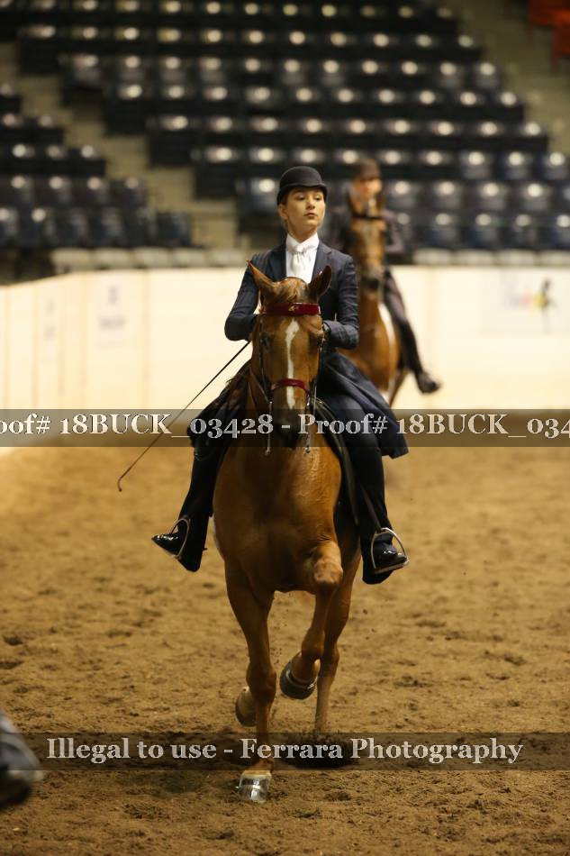 Proof 18BUCK_03428