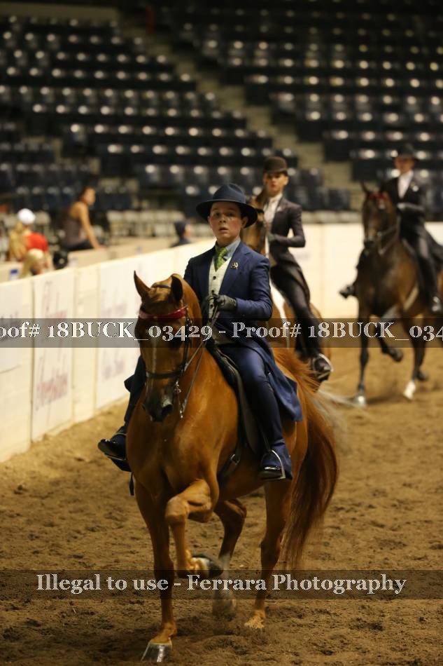 Proof 18BUCK_03429