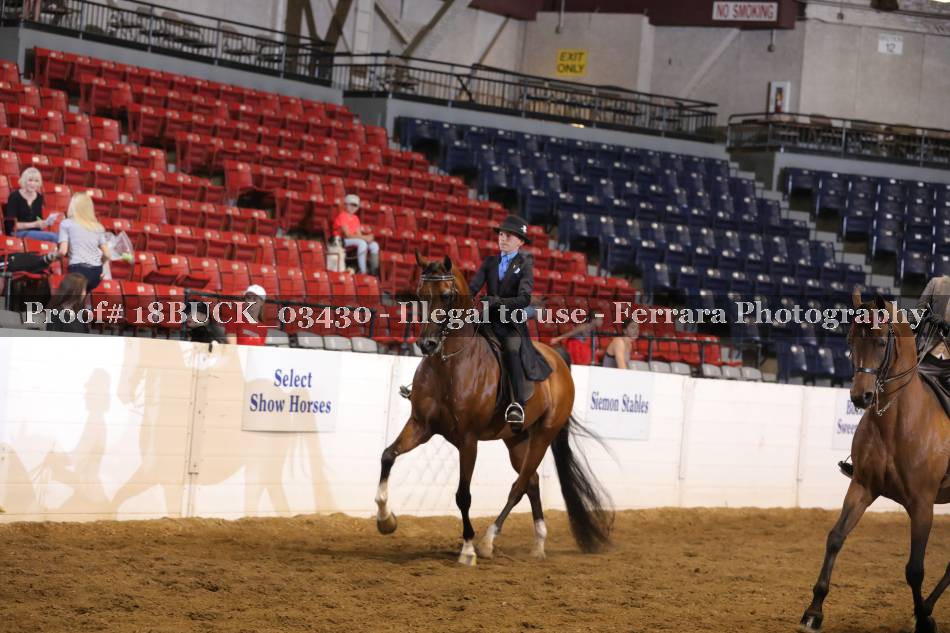 Proof 18BUCK_03430