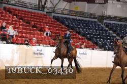 18BUCK_03430 proof