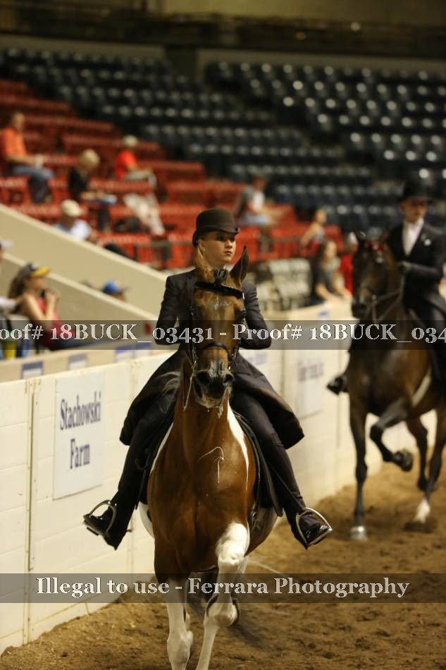 Proof 18BUCK_03431