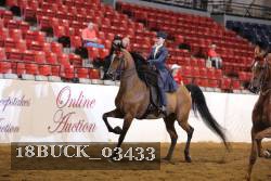 18BUCK_03433 proof