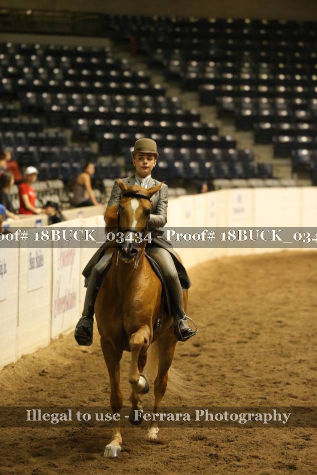 Proof 18BUCK_03434