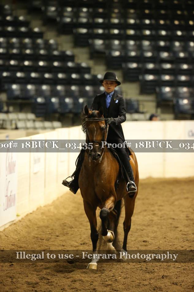 Proof 18BUCK_03435
