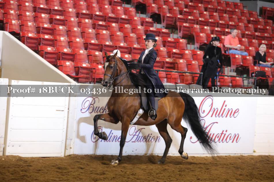 Proof 18BUCK_03436
