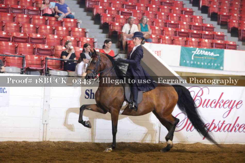 Proof 18BUCK_03437