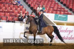 18BUCK_03437 proof