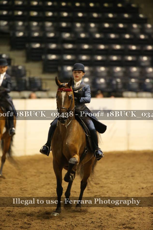 Proof 18BUCK_03438