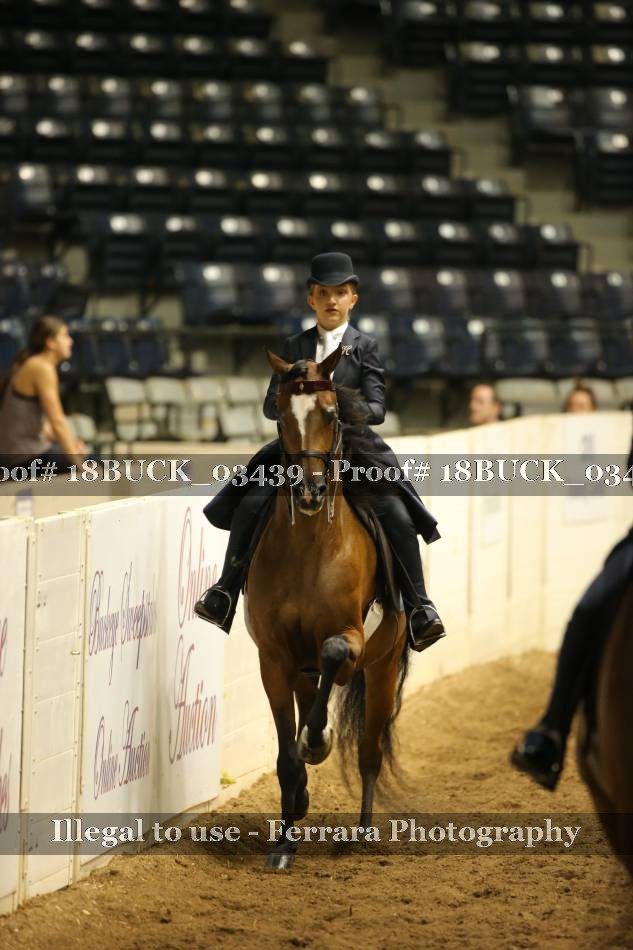 Proof 18BUCK_03439