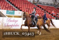 18BUCK_03443 proof