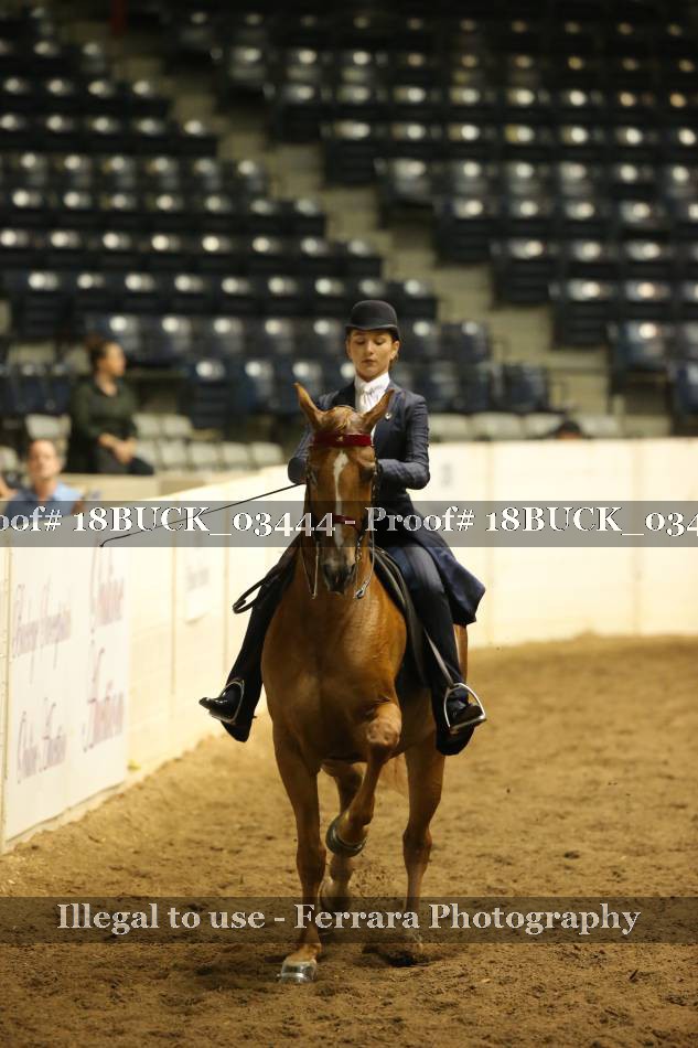 Proof 18BUCK_03444
