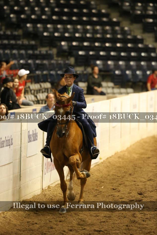 Proof 18BUCK_03445
