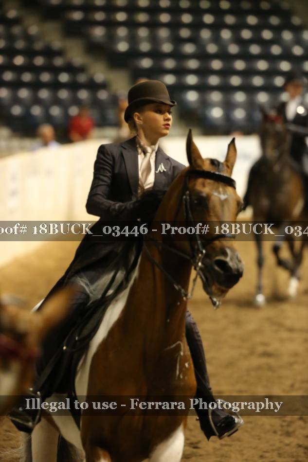 Proof 18BUCK_03446