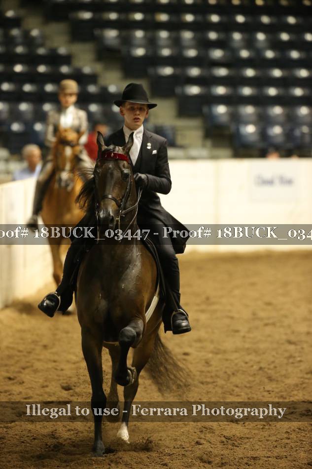 Proof 18BUCK_03447