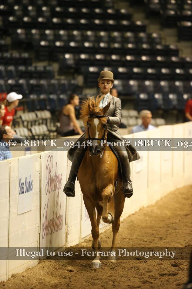 Proof 18BUCK_03448