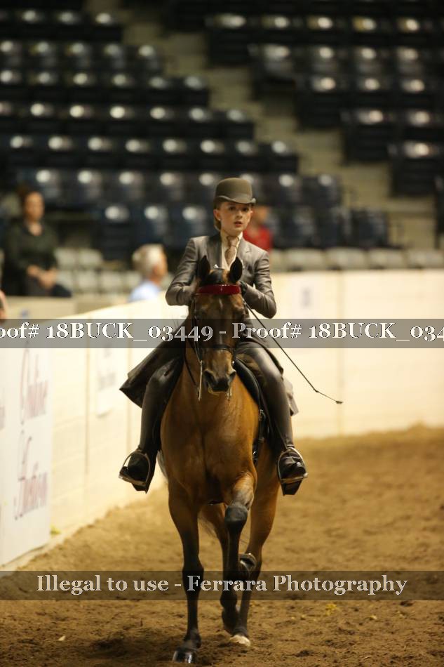 Proof 18BUCK_03449