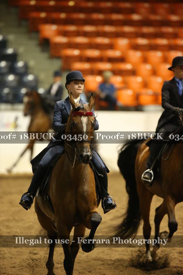 Proof 18BUCK_03450