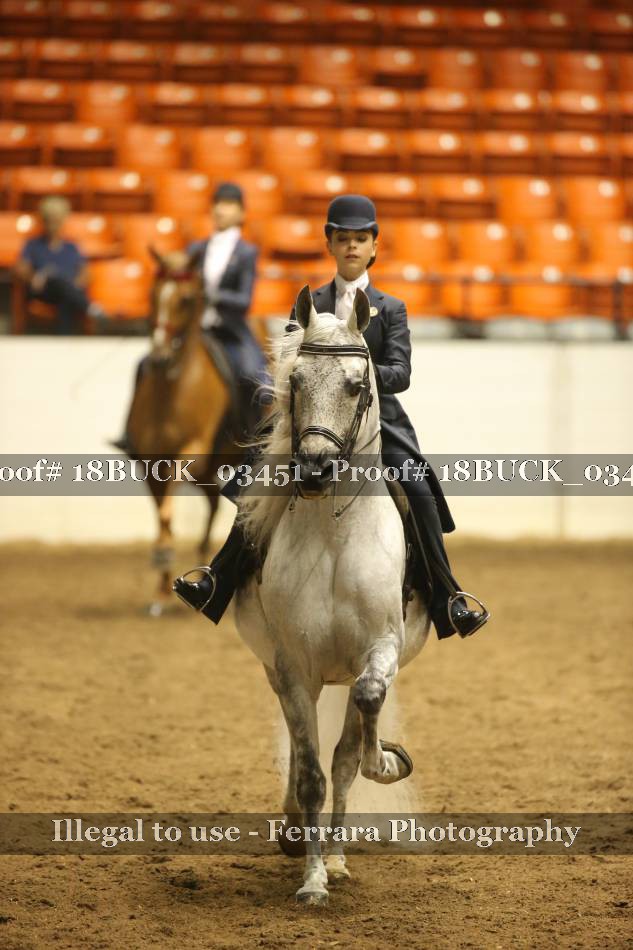 Proof 18BUCK_03451