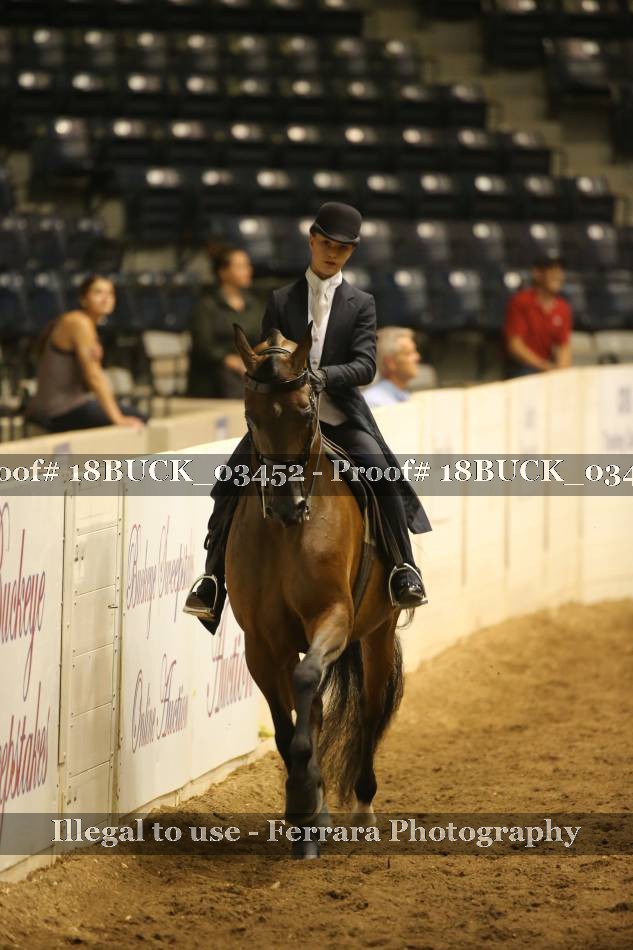 Proof 18BUCK_03452