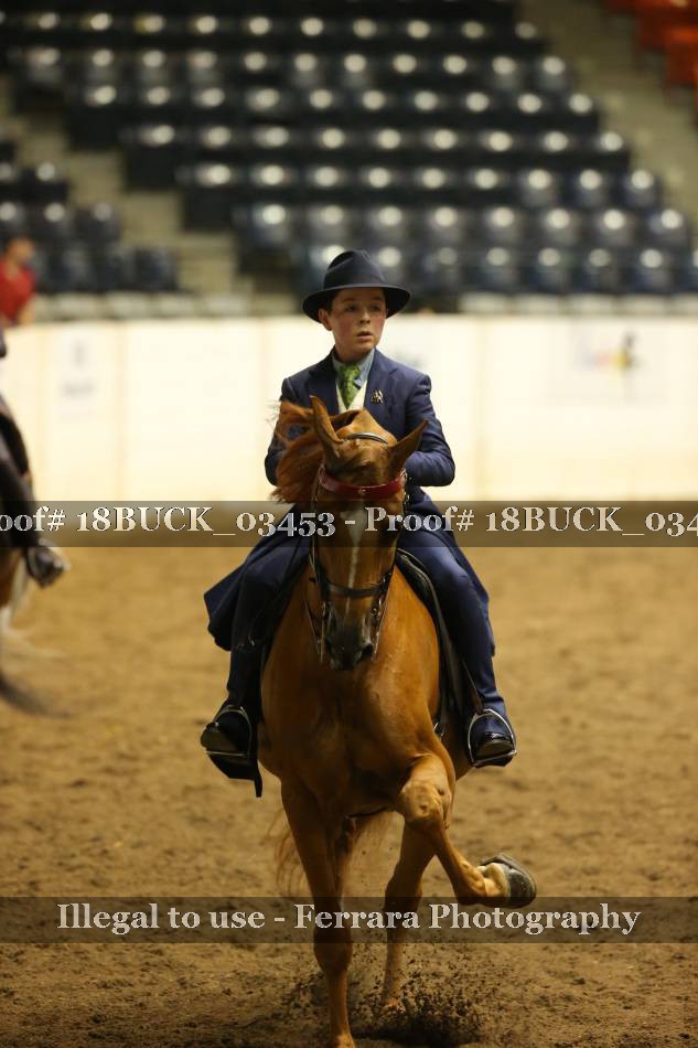 Proof 18BUCK_03453