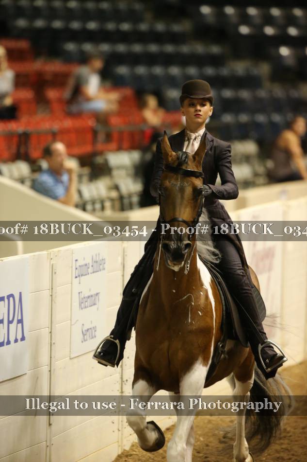 Proof 18BUCK_03454