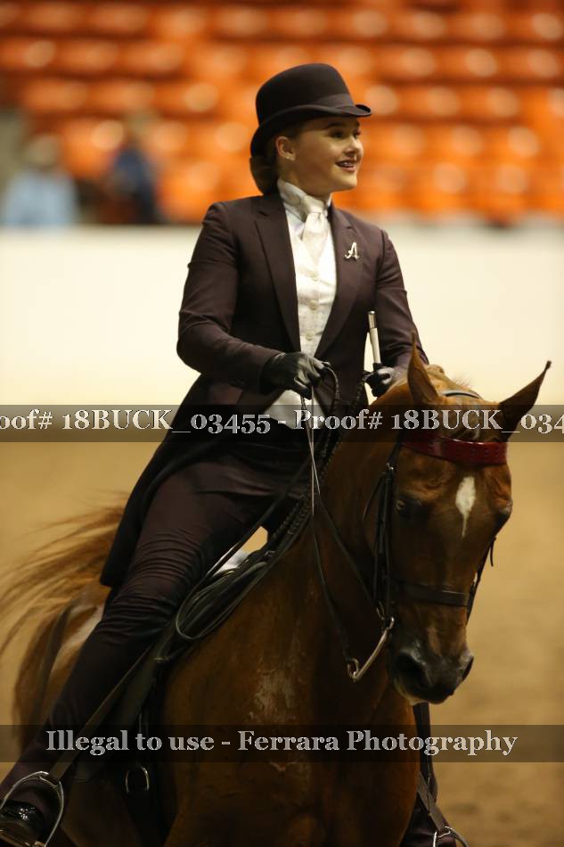 Proof 18BUCK_03455