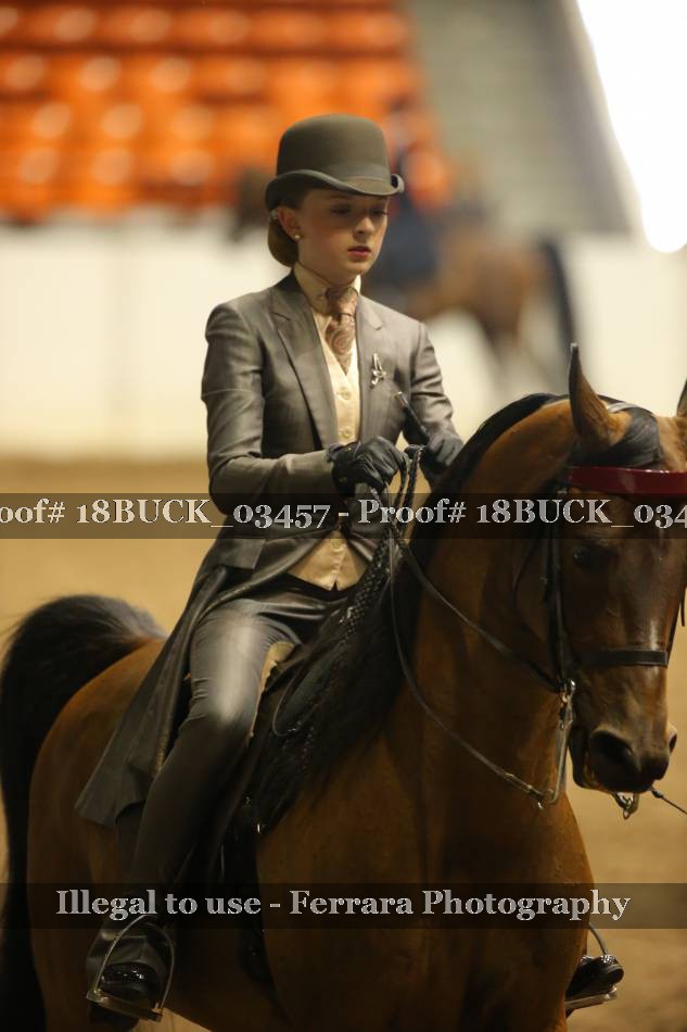 Proof 18BUCK_03457