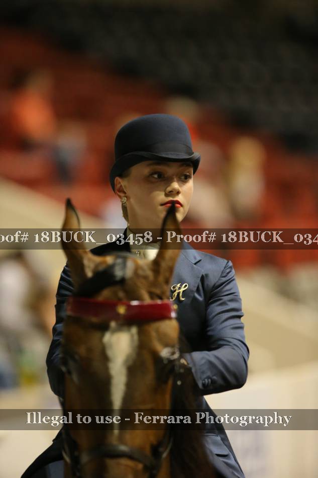 Proof 18BUCK_03458