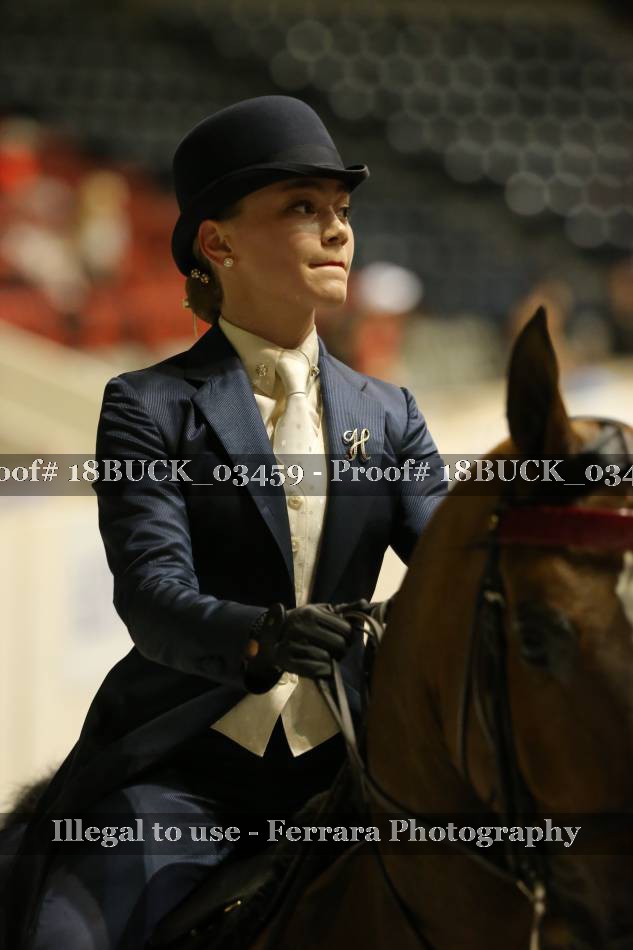 Proof 18BUCK_03459