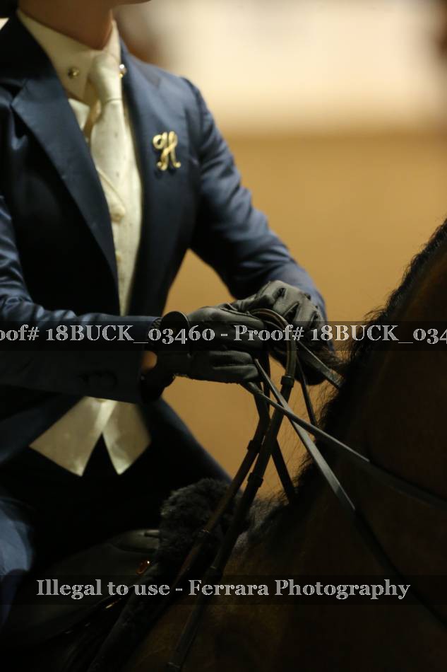 Proof 18BUCK_03460