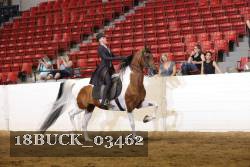 18BUCK_03462 proof